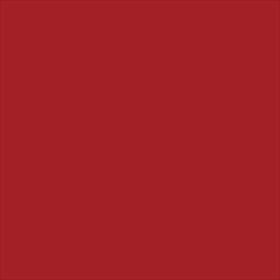20x20 PRO Color Fliesen Rot Brillant