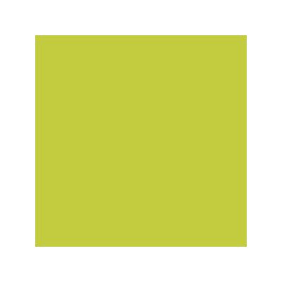 15x15 PRO Color Fliesen Lime Grün Matt