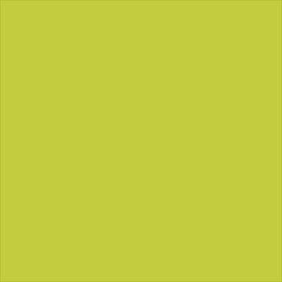 20x20 PRO Color Fliesen Lime Grün Matt