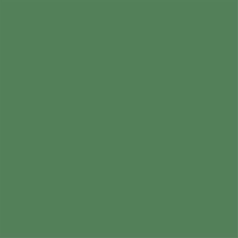 15x15 Farbe 2.0 RAL 150 50 30 Lush Green Matt