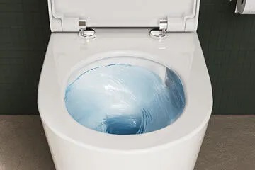 pressevitra-bad-prasentiert-die-innovative-spultechnologie-quantumflush.jpg